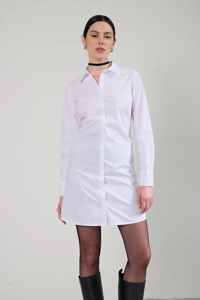 10193002PIJCF001_2.webp